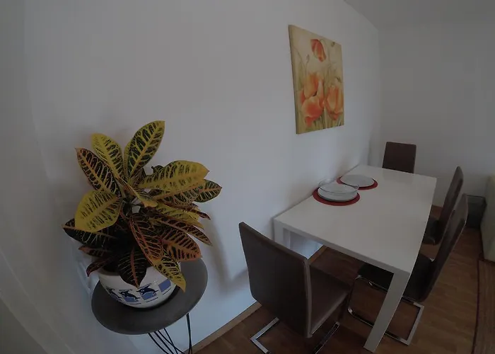 公寓 Panorama 扎达尔